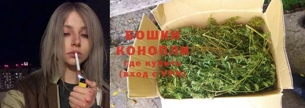 спиды Валдай