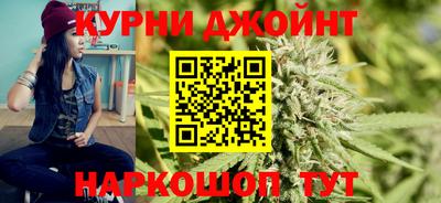 тгк Кингисепп