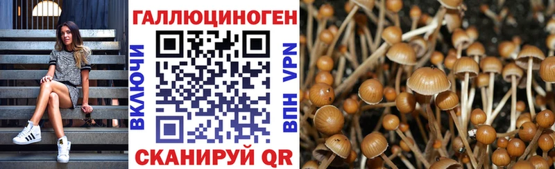 Псилоцибиновые грибы ЛСД  продажа наркотиков  Красный Сулин 