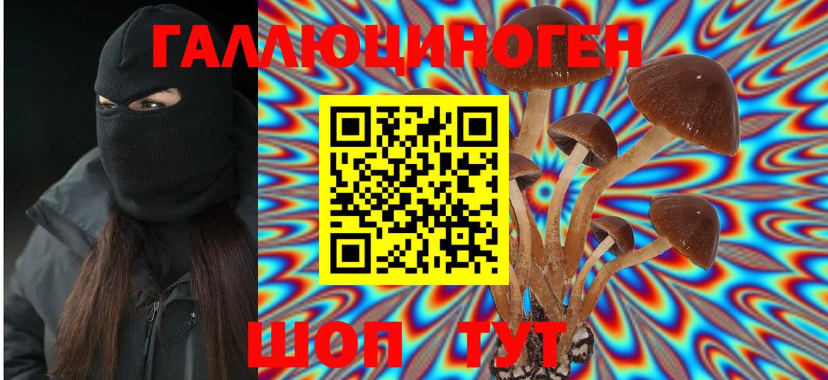 Псилоцибиновые грибы мицелий Красный Сулин