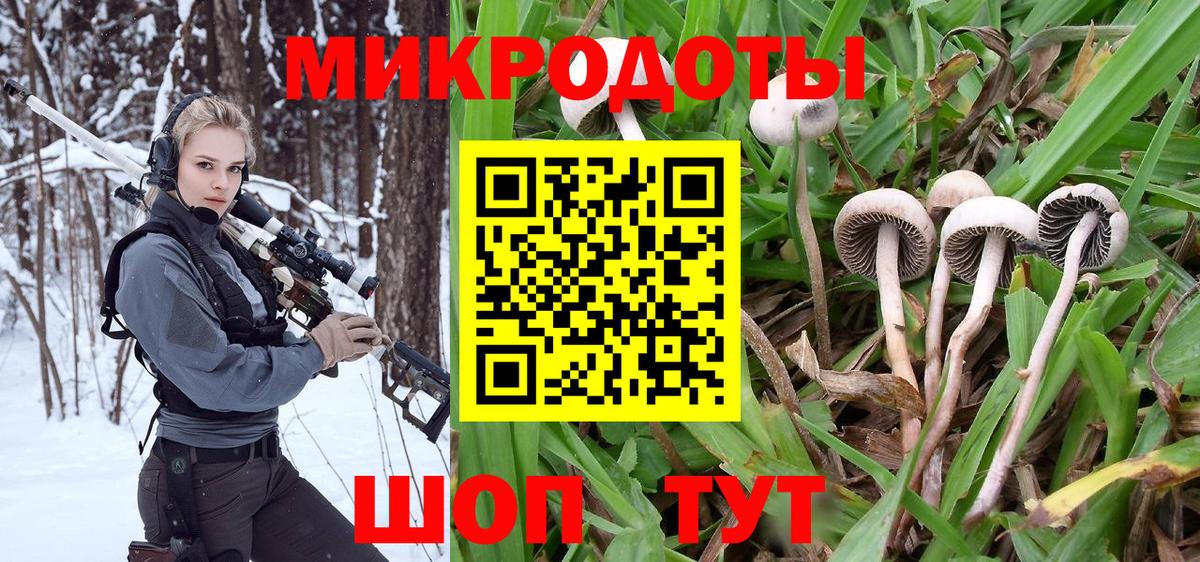 Псилоцибиновые грибы Psilocybine cubensis  Вход с VPN  Галлюциногенные грибы мухоморы  Красный Сулин 
